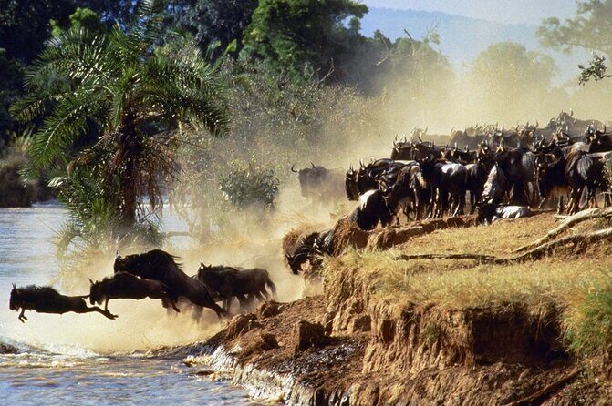 6 Days of Kenyan Wonders: Amboseli, Lake Nakuru, and Masai Mara - Guides, comfort, and the small details that affect your day
