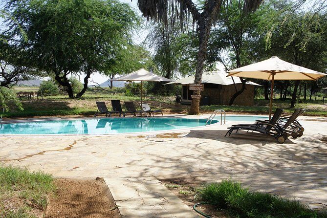 6 Days private safari package Kenya - What Your Days Likely Look Like Once You’re on Safari