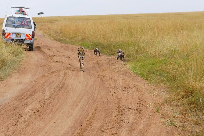 6 Days private safari package Kenya - Meals Included: The Real Value (And the Parts You Need to Budget)