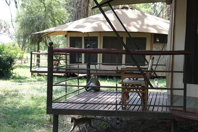 6 Days private safari package Kenya - Price Breakdown: Is $4,916.54 Per Person Fair?