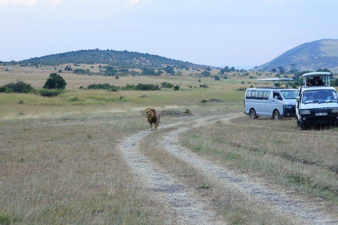 6 Days private safari package Kenya - Nairobi Pickup, Then Straight Into Amboseli