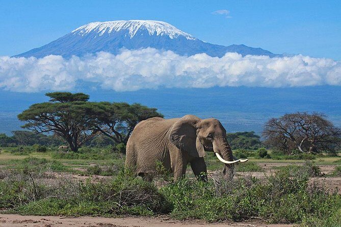 7 Day Maasai Mara, Lake Nakuru, Lake Naivasha and Amboseli Safari - Day 1: Maasai Mara arrival with Rift Valley viewpoint magic