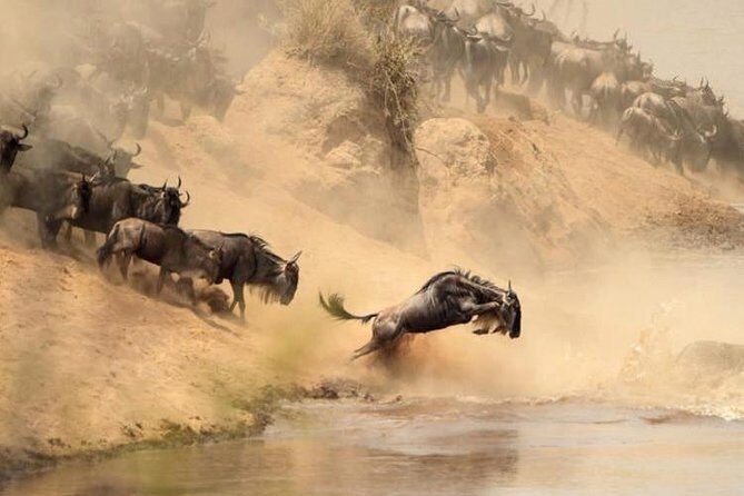 7 days Group Safari Masai Mara Lake Nakuru Hells gate & Amboseli - Nairobi night, included meals, and the rhythm of a tight safari week