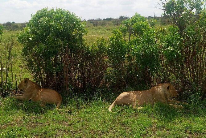 7 Days maasai mara - lake nakuru - lake naivasha- amboseli safari. - Hell’s Gate into Amboseli: the one day that breaks the classic safari mold