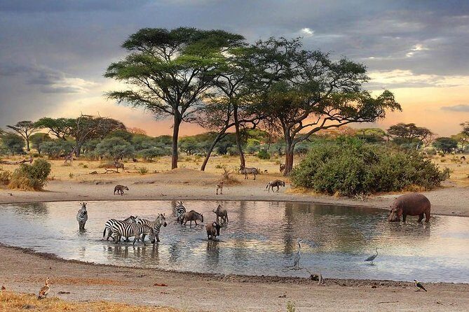 8 Days Best of Kenya and Tanzania Safari from Nairobi - Day 1: Nairobi Pickup to Maasai Mara, Plus Rift Valley Views