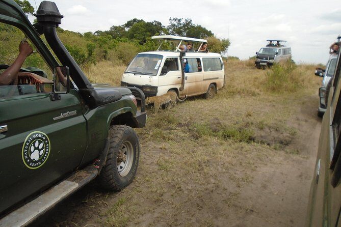 African Wildlife & Nature - 5 Kenya national parks - 6 day Jeep Safari - Tsavo West rhino sanctuary and volcanic scenery