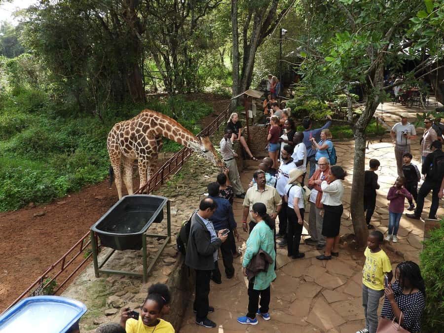 All-Inclusive: Giraffe Centre & Kazuri Beads Factory Visit - 5 key reasons this tour works well
