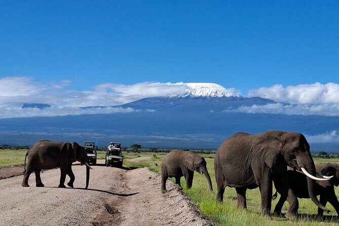 Amboseli Day Tour from Nairobi - The Pickup and Drive Out of Nairobi (Why 5 a.m. Makes Sense)