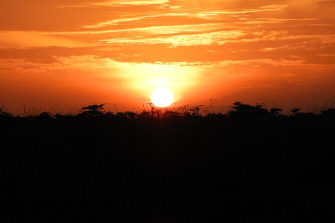 Amboseli Day Tour from Nairobi - Guides and Vehicles: Why People Keep Mentioning Names