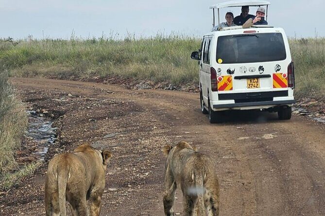 Amboseli Day Trip with Pickup - First thing: what this day trip is really like