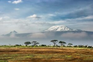 Amboseli National Park: Full Day Tour From Nairobi - Amboseli National Park game drive: where your sightings stack up