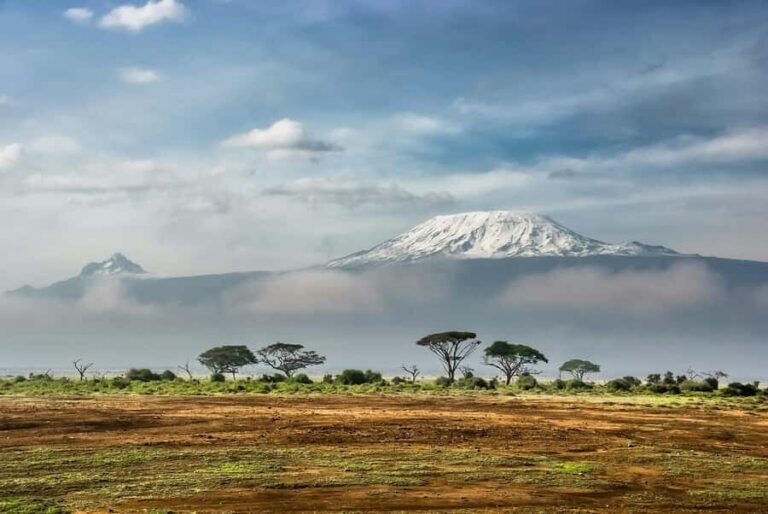 Amboseli National Park: Full Day Tour From Nairobi - Amboseli National Park game drive: where your sightings stack up