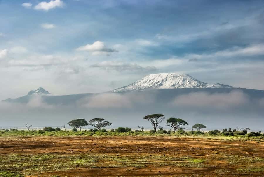 Amboseli National Park: Full Day Tour From Nairobi - Amboseli National Park game drive: where your sightings stack up