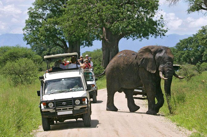 Amboseli National Park: Guided Full Day Tour - Key highlights worth marking on your mental map