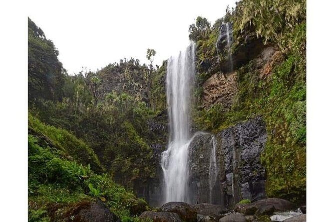 Climbing Mount Kenya 5 Days Via Chogoria Route - Day 5: The Sirimon Gate Exit and a Late-Afternoon Return to Nairobi