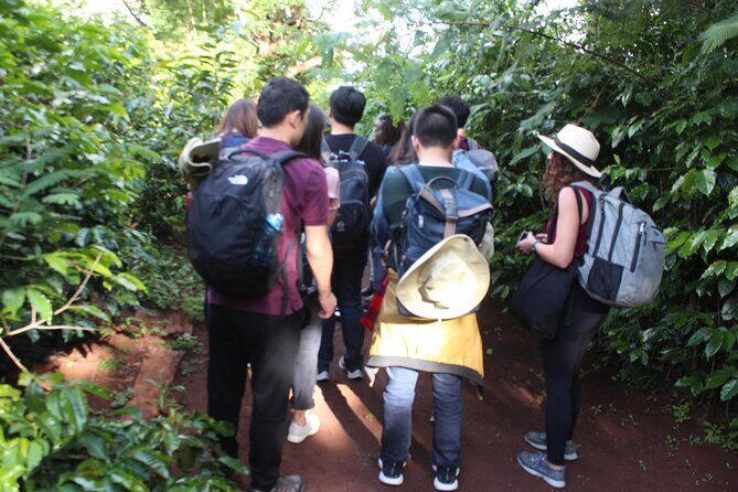Coffee farm tour, coffee roasting and tasting experience - Fresh Coffee Tasting: Sit, Sip, and Make It Click