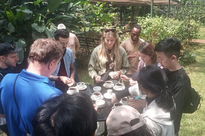 Coffee Farm Tour (Fairview) - On the farm: coffee cultivation from flowers to cherries