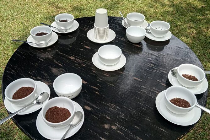 Coffee Farm Tour (Fairview) - Value check: is $39 worth it once the $30 entrance fee hits?