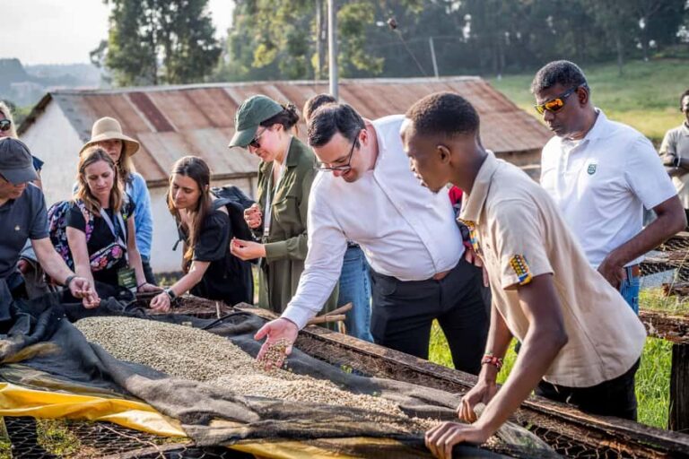 Coffee Farm Tour (Fairview) - Pickup and timing: what 3 hours really means