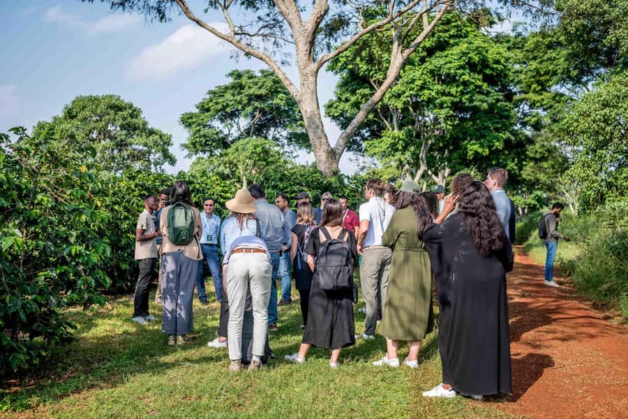 Coffee Farm Tour (Fairview) - Should you book the Coffee Farm Tour (Fairview)?
