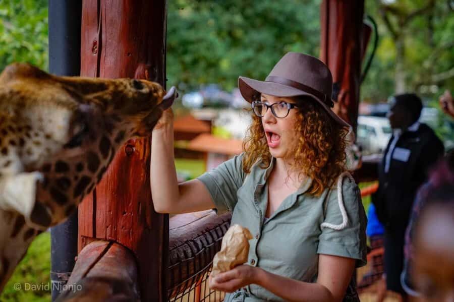 David Sheldrick Wildlife Trust & Giraffe Center with Lunch - Elephant orphanage stop: rescued baby elephants and what care really means