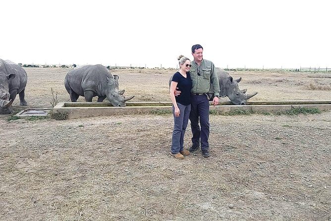 Day safari to Olpejeta Rhino conservancy - Key highlights worth getting excited about