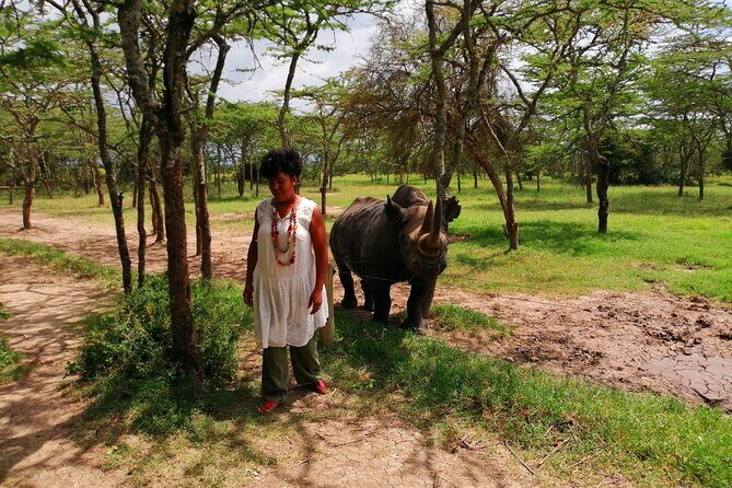 Day safari to Olpejeta Rhino conservancy - The early start from Nairobi (5:30 am) is the whole game