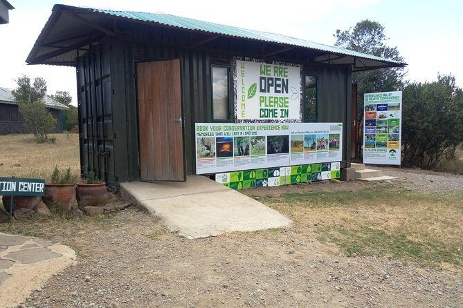 Day safari to Olpejeta Rhino conservancy - Ol Pejeta chimpanzee sanctuary: close to humans, fast