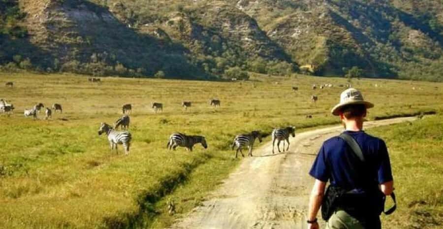 Day tour Hells gate and lake Naivasha from Nairobi - Should you book this Hell’s Gate and Naivasha day tour?