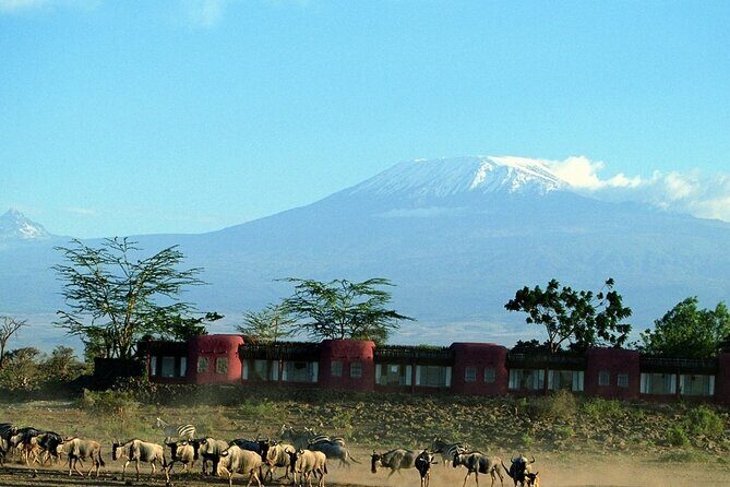 Day Tour to Amboseli National Park - Amboseli ecosystem and Observation Hill: two “park sense” moments