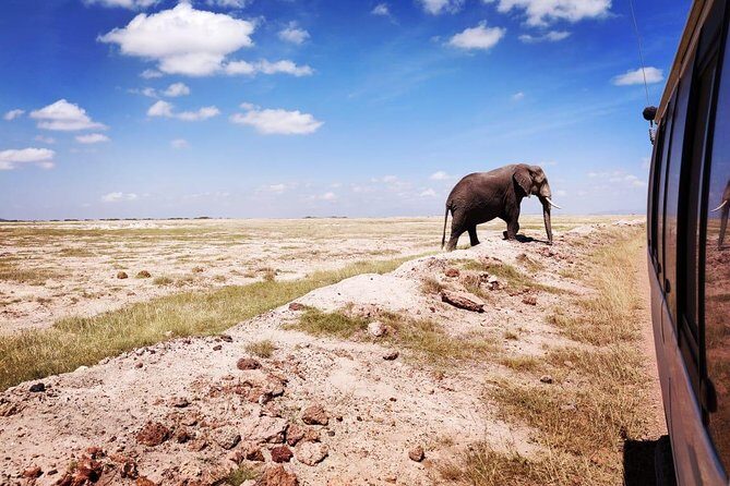 Day Tour to Amboseli National Park - Should you book this Amboseli day trip?