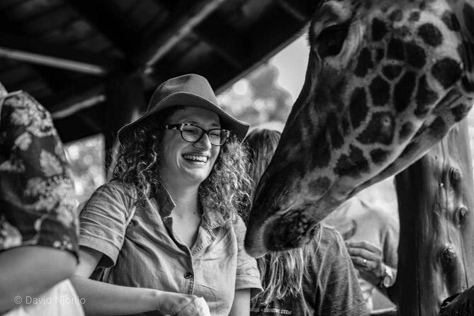 Day tour to Giraffe center and Karen Blixen Nairobi - Karen Blixen Museum: the Out of Africa setting, with the human side