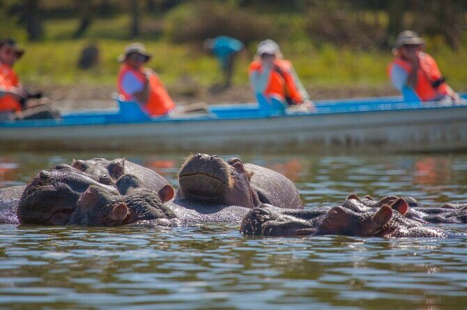 Day tour to Hells Gate, Lake Naivasha and Crescent Island Walk - Lunch in Naivasha: Plan for Own Expenses and Keep Moving