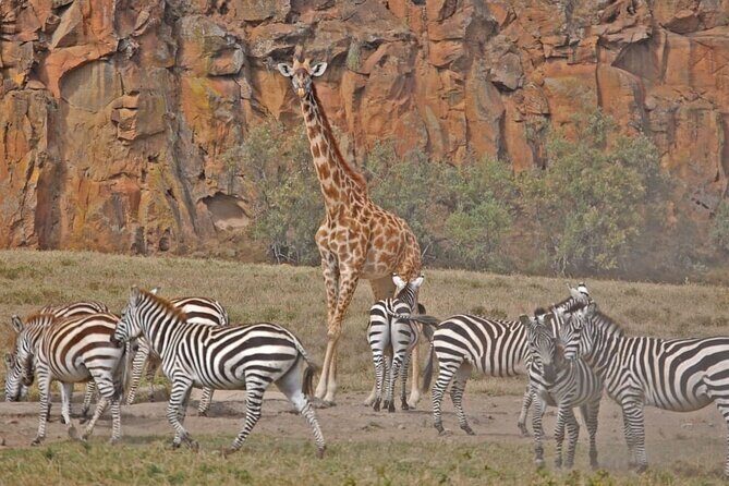 Day tour to Hells Gate, Lake Naivasha and Crescent Island Walk - What You’ll Pay and What’s Included in the $160 Price