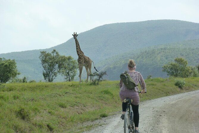 Day tour to Hells Gate, Lake Naivasha and Crescent Island Walk - Comfort, Clothing, and Pacing for an 8 to 10 Hour Day