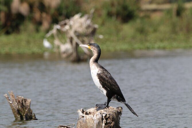 Day tour to Hell's Gate National park and optional Boat ride on lake Naivasha - What to Pack (So You Don’t Feel Miserable by 10am)