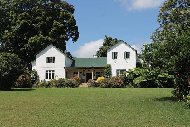 Day Tour To Kiambethu Tea Farm in Limuru - Why Kiambethu Tea Farm Feels Like a Real Day Out