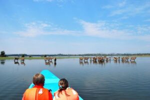 Day Tour To Lake Nakuru Park With Optional Boat Ride on Lake Naivasha - Lake Nakuru Game Drive: Flamingos, Pelicans, and Eagles