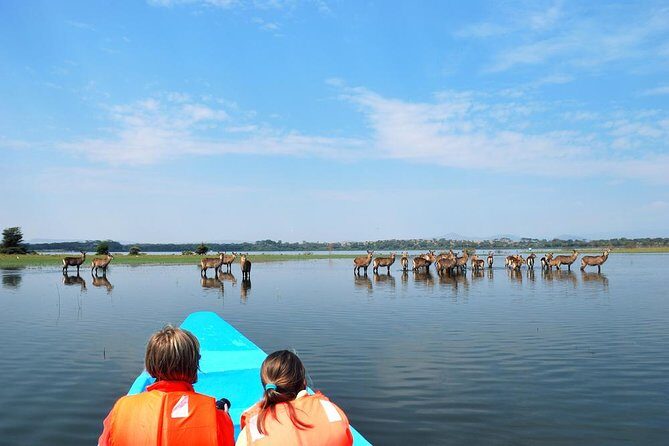 Day Tour To Lake Nakuru Park With Optional Boat Ride on Lake Naivasha - Lake Nakuru Game Drive: Flamingos, Pelicans, and Eagles