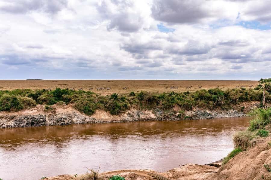 Day Tour to Maasai Mara & optional Maasai village visit - Key highlights you should care about