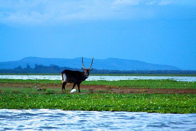 Day tour to mount Longonot park from Nairobi - What to pack and how to pace the long day