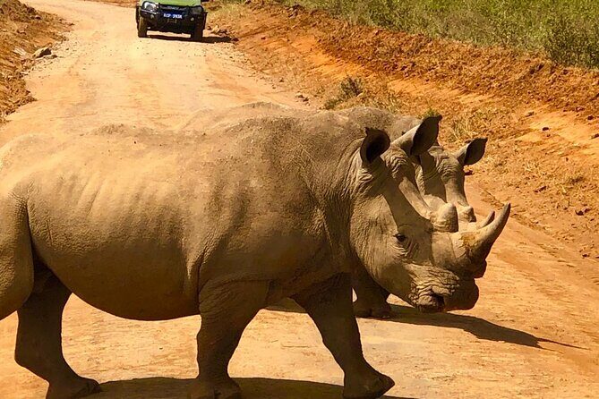 Day Tour to Nairobi National Park and Giraffe Center - Giraffe Centre: Rothschild conservation and hands-on proximity