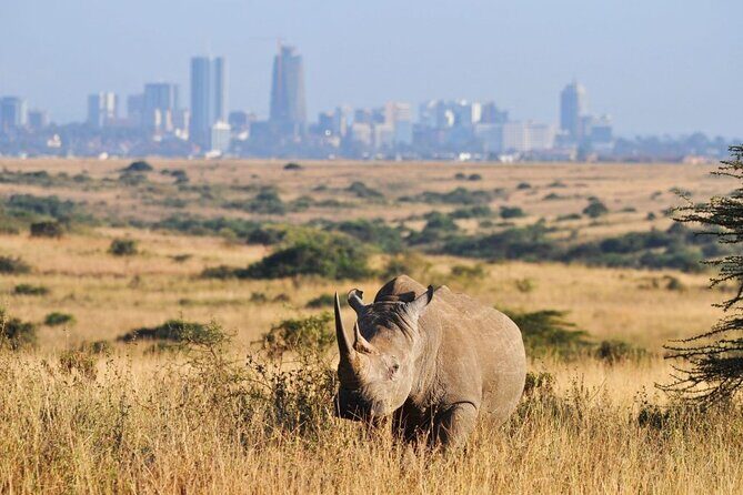 Day Tour to Nairobi National Park and Giraffe Center - How the full day flows: 9 hours with travel built in