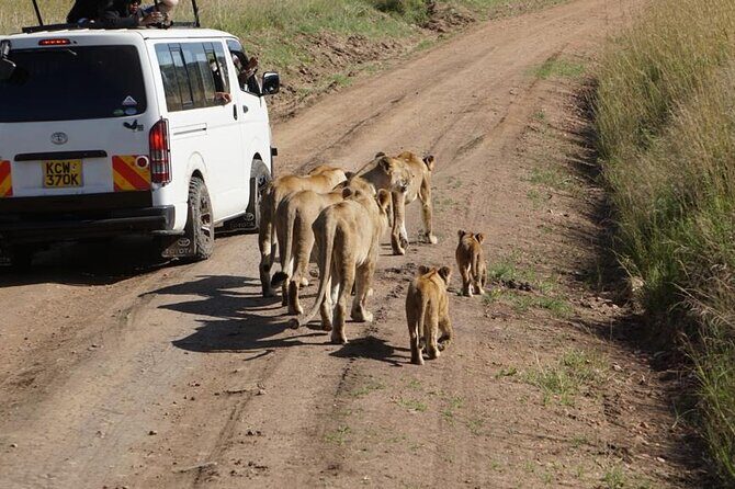 Day Tour to Nairobi National Park and Giraffe Center - Price and value: what $180 includes (and what you still plan for)
