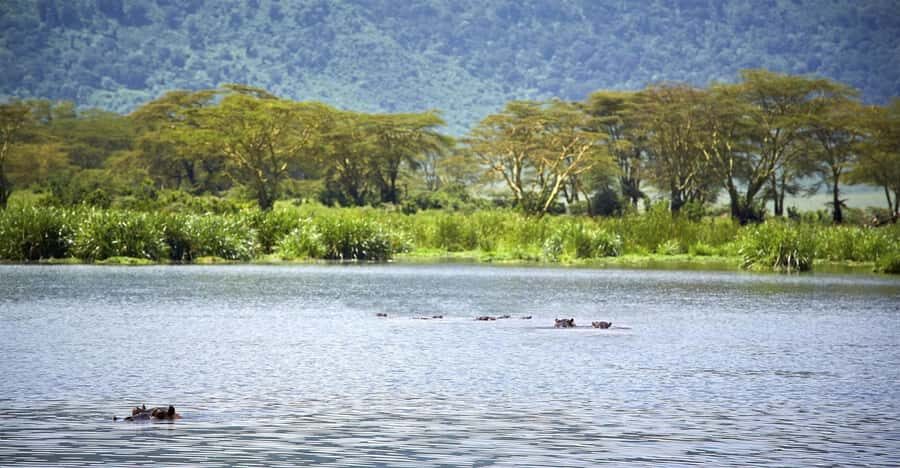 Day Trip: Hell's Gate Bike Ride & Lake Naivasha Boat Ride - Timing and energy management for a full Rift Valley day
