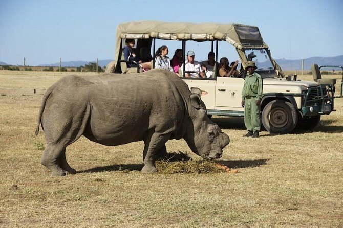 Day trip to Ol Pejeta conservancy from Nairobi - Equator Marker stop: a quick photo break that helps the day feel lighter