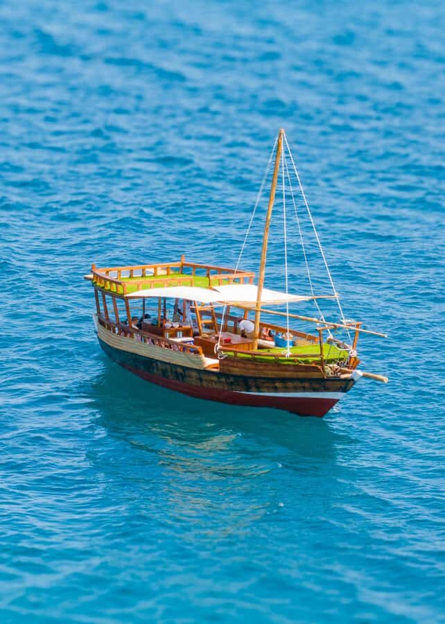 Dhow Adventure to Wasini Island & Kisite Marine Park - Who This Trip Suits Best (And Who Should Rethink It)