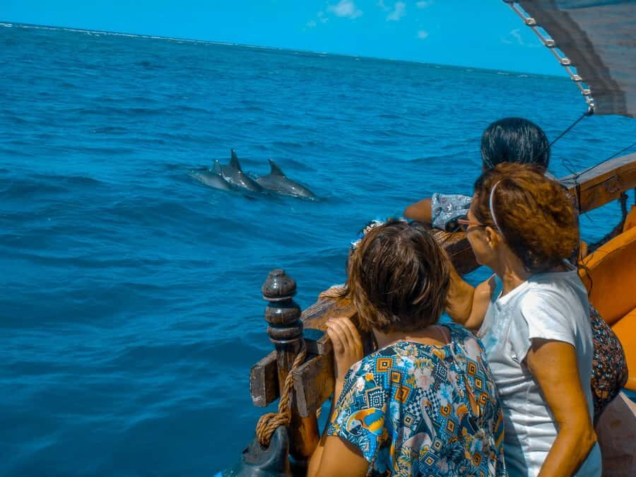 Dhow Adventure to Wasini Island & Kisite Marine Park - Should You Book Dhow Adventure to Wasini Island & Kisite Marine Park?