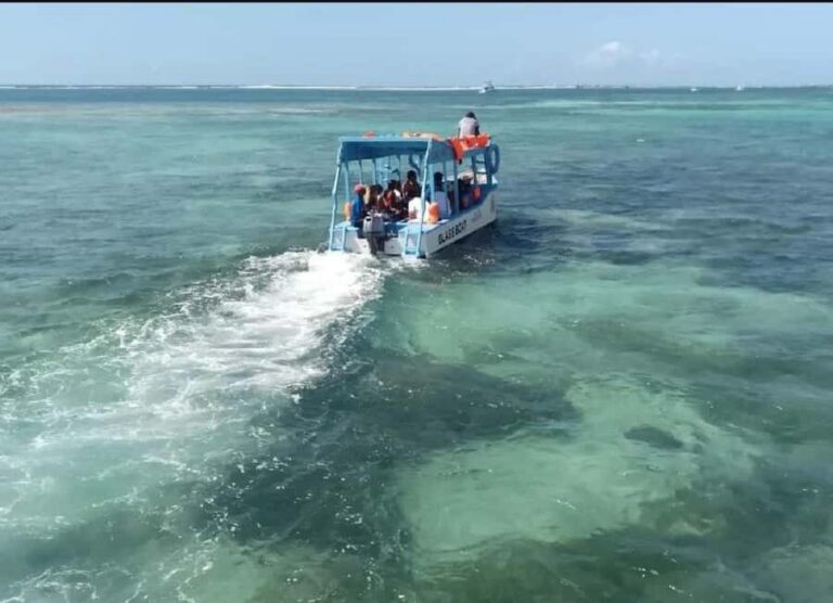 Diani Beach: Glass Boat Cruise to Robinson Island - Robinson Island Sandbank: Why Tide Timing Changes the Day