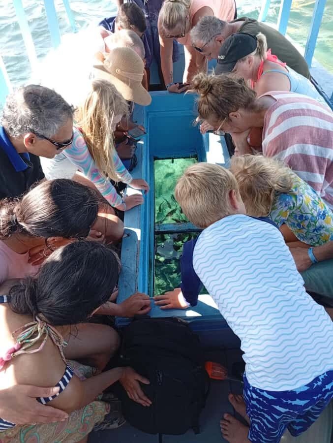 Diani Beach: Glass-Bottom Boat Cruise to Robinson Island - Key things to know before you go
